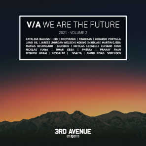 VA – We Are the Future 2021, Vol. 2 [3AV054LP]
